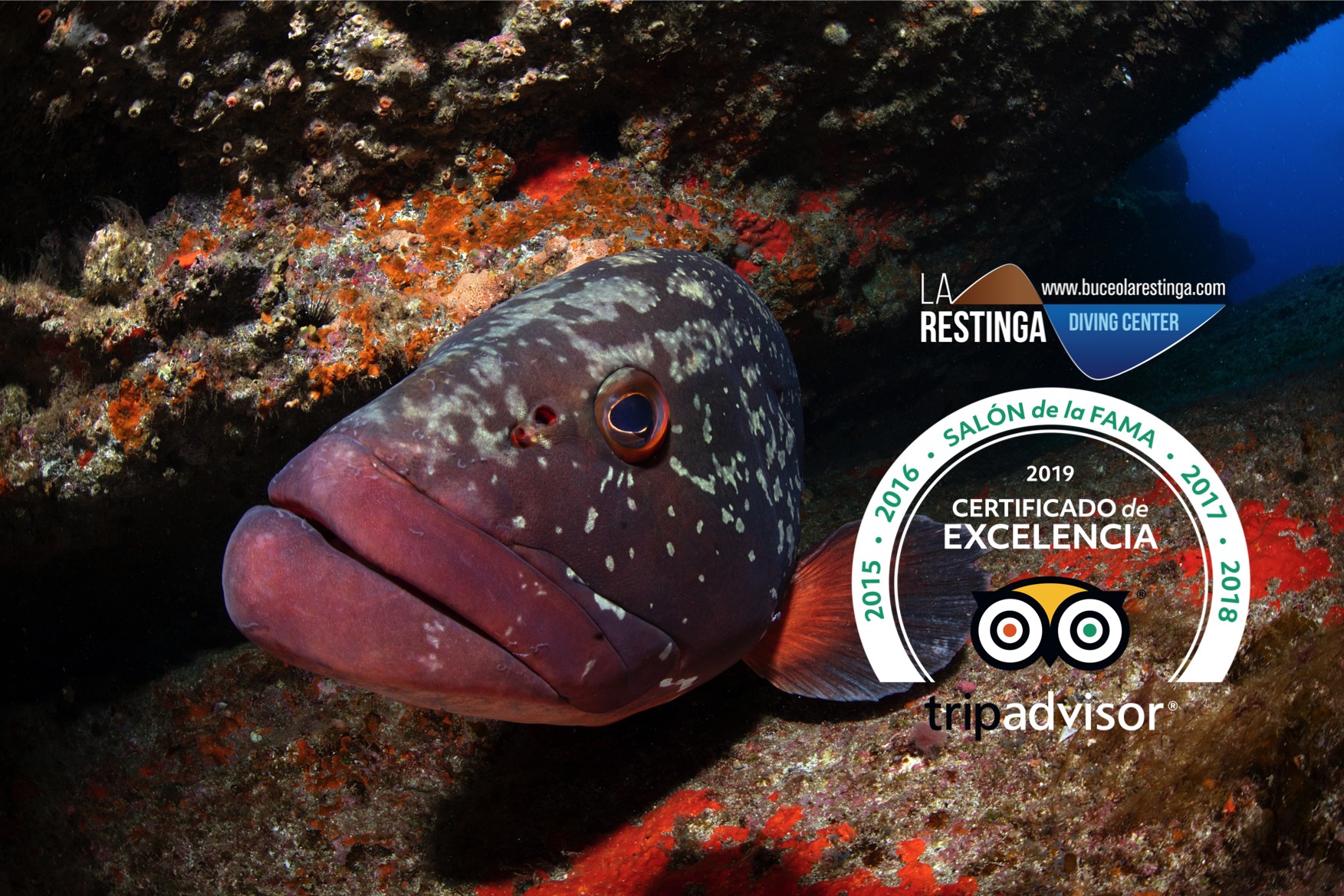 BUCEO LA RESTINGA, 5 A&Ntilde;OS CON CERTIFICADO DE EXCELENCIA TRIPADVISOR