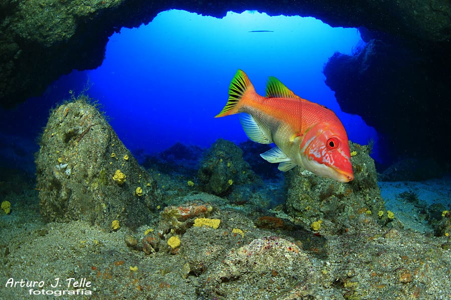 7&ordf; Foto de los d&iacute;as extra&ntilde;os