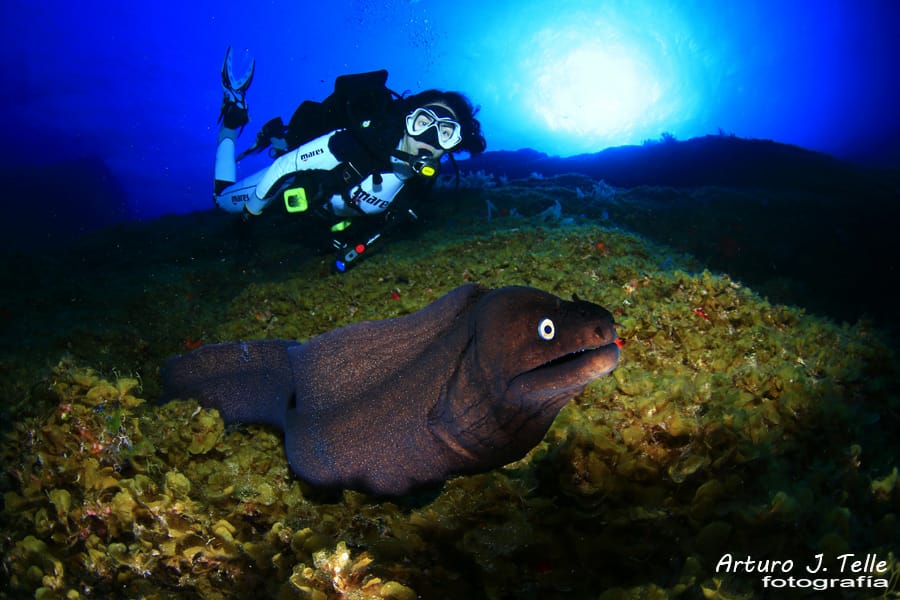 10&ordf; imagen de los d&iacute;as extra&ntilde;os.