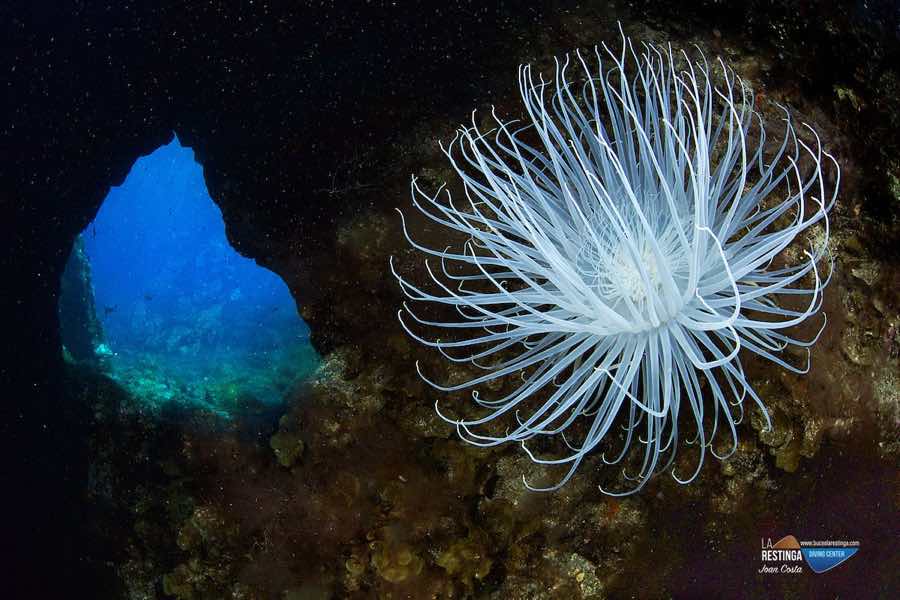 Foto 31 de los d&iacute;as extra&ntilde;os