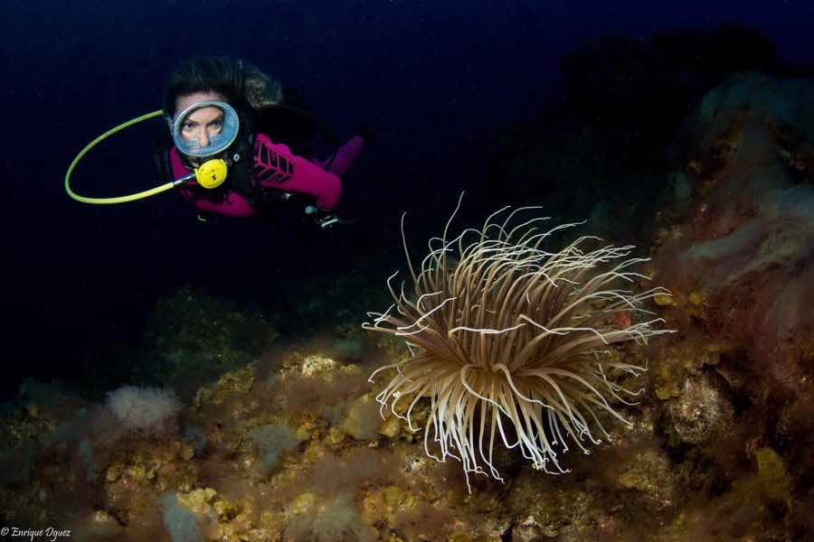 Imagen 28 de los d&iacute;as extra&ntilde;os