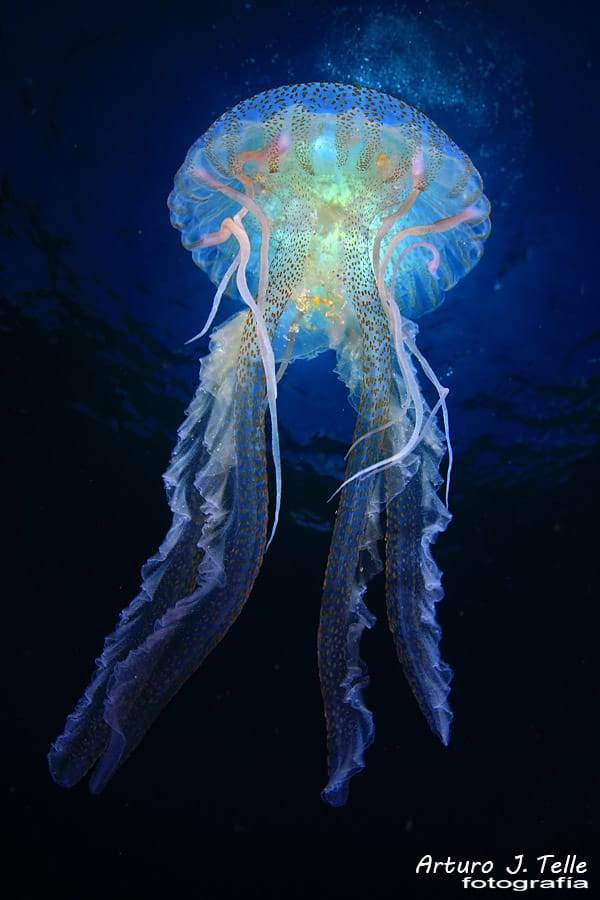 FOTOS PARA EL CONFINAMIENTO Y CURIOSIDADES - MARZO