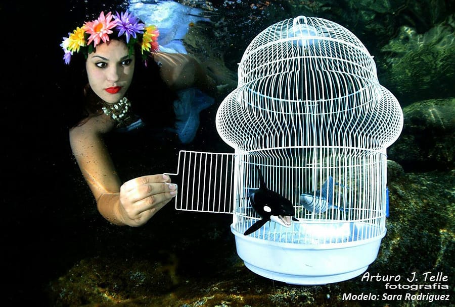 REFLEXIONES DESDE EL ENCIERRO