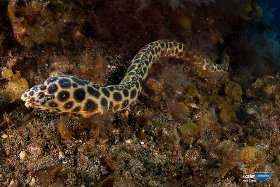 Foto 25 de los d&iacute;as extra&ntilde;os