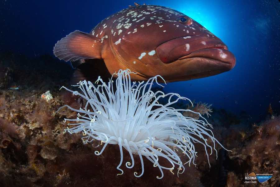 Imagen 29 de los d&iacute;as extra&ntilde;os