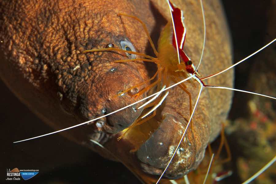 Foto 21 de los d&iacute;as extra&ntilde;os - by Joan Costa