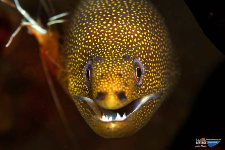 Foto 23 de los d&iacute;as extra&ntilde;os