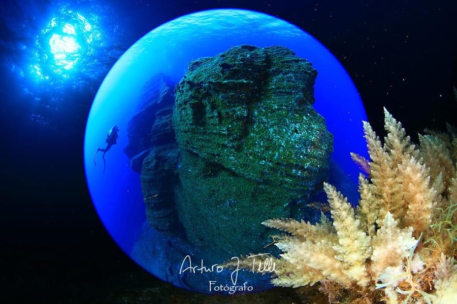 COLABORACIONES EN ESTE PASADO 2021 EN CAMPEONATOS DE FOTOGRAF&Iacute;A SUBACU&Aacute;TICA 2021