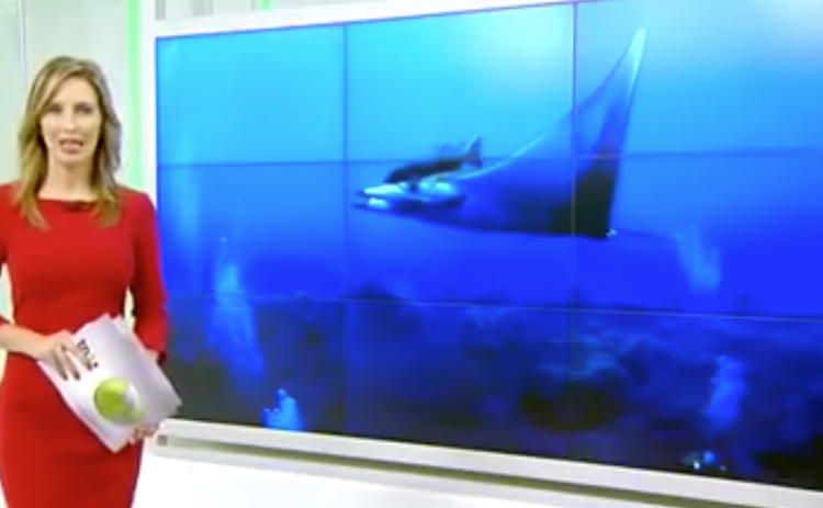 Buceo la Restinga - El Hierro - En los medios (TVCanaria)