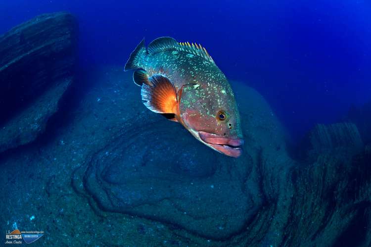 Imagen 6&ordf; de los d&iacute;as extra&ntilde;os.