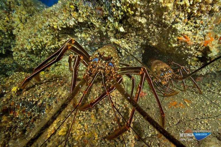 Imagen 34 de los d&iacute;as extra&ntilde;os, por Joan Costa