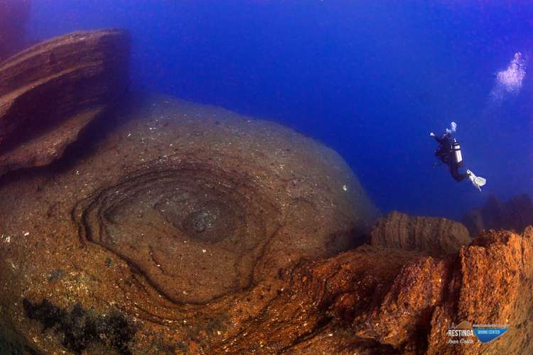 BAJON'S DIVING WEEK - Imagen 57 de los días extraños