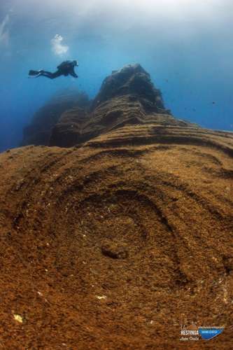 BAJON'S DIVING WEEK - Imagen 58 de los días extraños