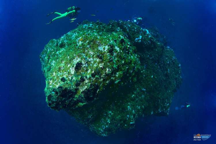ISLA DE EL HIERRO, DESDE LO MAS ALTO HASTA LO MAS PROFUNDO