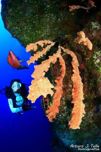 Foto 20ª de los días extraños.