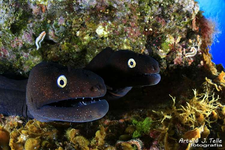 Foto 22 de los d&iacute;as extra&ntilde;os