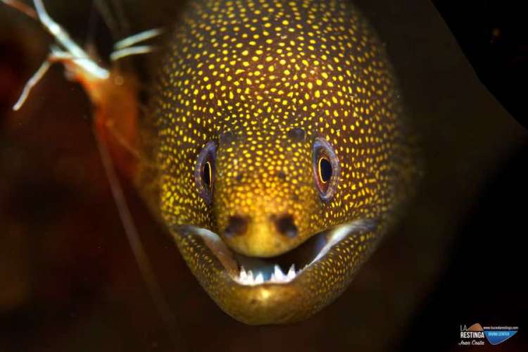 Foto 23 de los d&iacute;as extra&ntilde;os