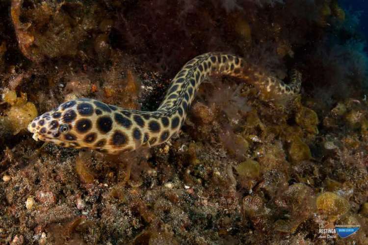 Foto 25 de los días extraños