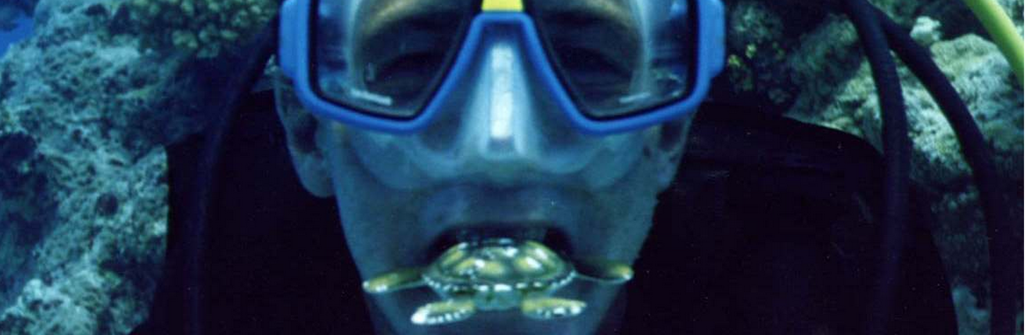Diver David