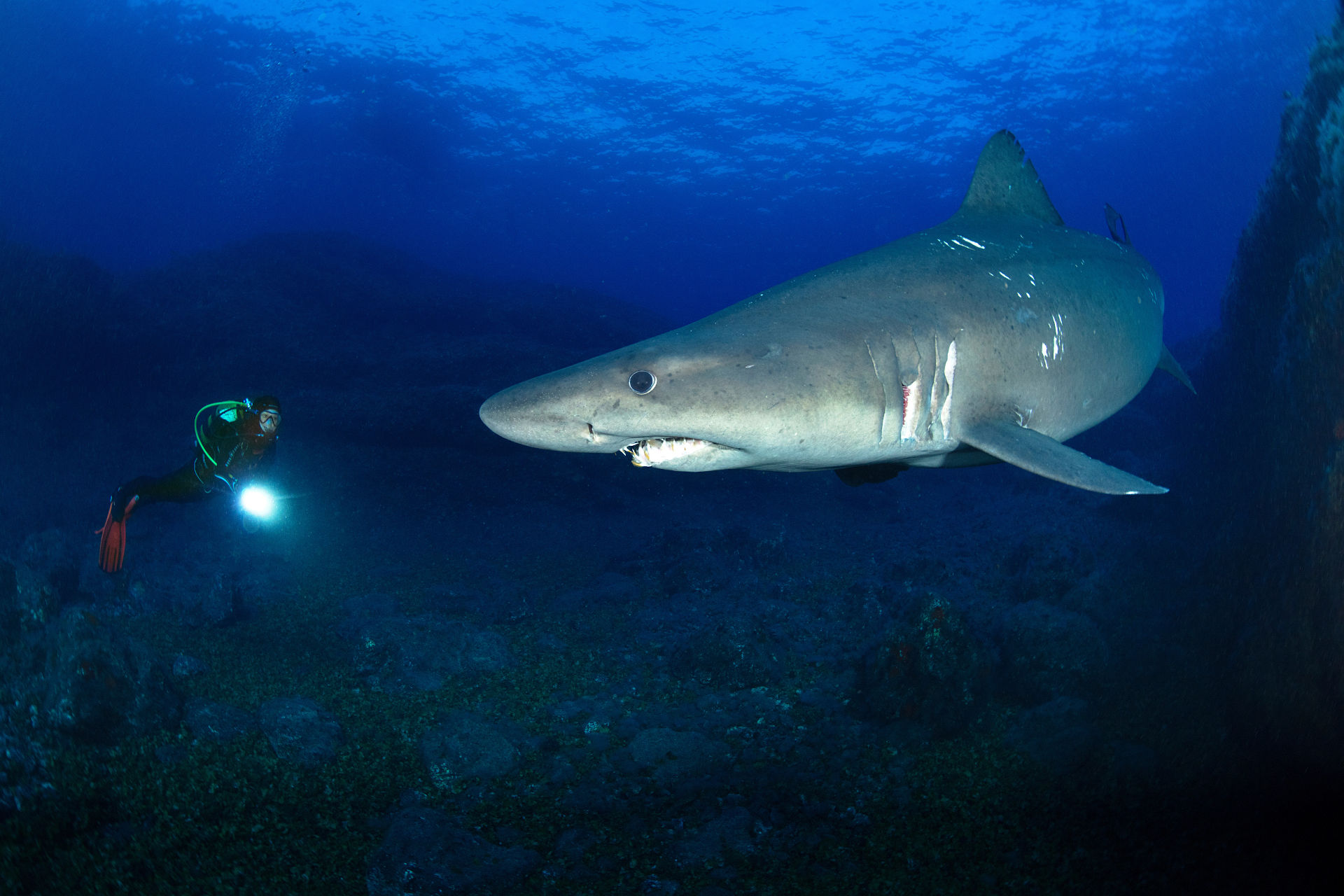 Buceo en la Reserva Marina